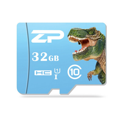 

ZP Carnivorous Dinosaur Micro SDXC Card Data Storage Gadget