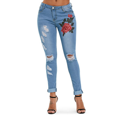 

Skinny Ripped Jeans with Embroidery