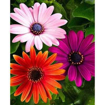 

5D DIY Diamond Painting Flowers Cross Stitch Embroidery Rhinestones Kits