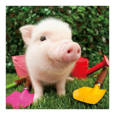 

5D DIY Full Drill Diamond Painting Pig Cross Stitch Embroidery Mosaic Kit