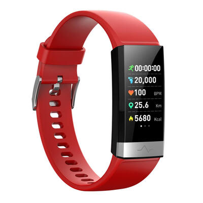 

V19 Smart Bracelet ECGPPGHRV Heart Rate Blood Pressure Monitor Smartband