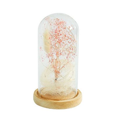 

Gypsophila Romantic Simulation Glass Cover Led Micro Landscape Home Night Light Decor
