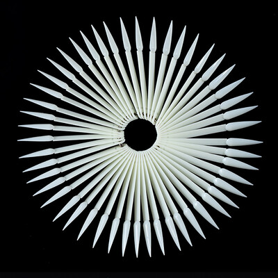 

Toponeto Nail 50PCS Art False Tips Sticks Practice Display Fan Board Design Tools