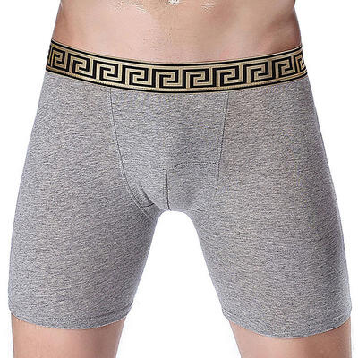 

Mens Long Leg Boxer Briefs Cotton Performance Cool Dry Underwear