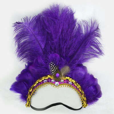 

Indian Crystal Crown Feather Headband Headdress Carnival Headpiece Headgear