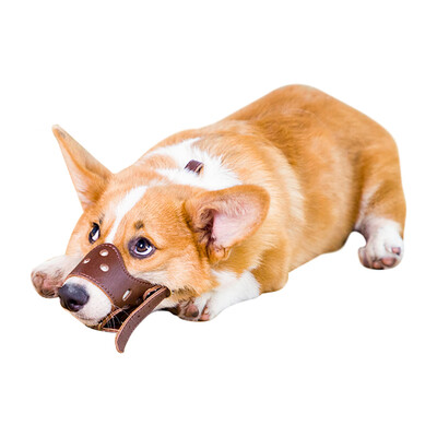 

Fantasy Bubble Pet Dog Mouth Set Adjustable Stopper Dog Mouth Prevention Dog Tattoo Teddy Outer Export Cover Dog Mouth Set L