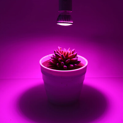 

〖Follure〗E27 6W 28-LEDPlant Grow Light Bulb Hydroponic Veg Flower Full Spectrum