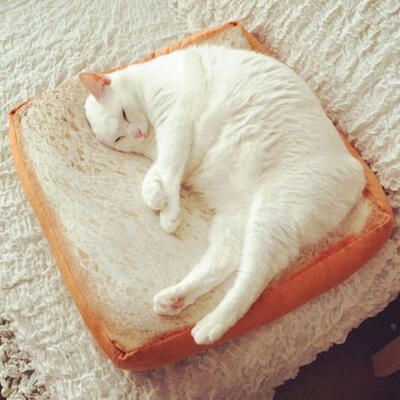 

Cartoon Soft Puppy Dog Plush Bread Slice Cushion Toast Bed Mat Seat