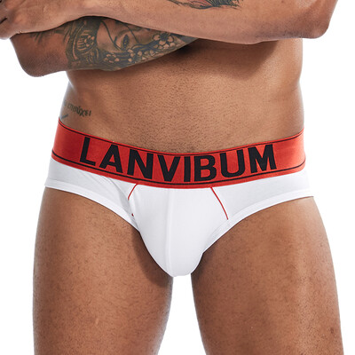

Men Low Rise Breathable Underwear Bulge Pouch Briefs Elastic Knickers Underpants