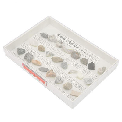 

Greensen 24pcs Rock Collection Sample Kit Natural Mineral Gem Geology Educational Tool