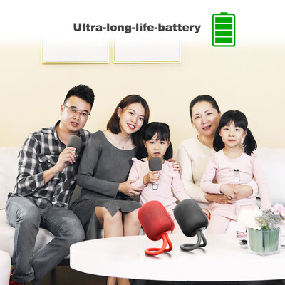 

Xiao-mi iK8 Personal SpeakerMicrophone Set Stereo Speaker Constant Sound Field Magnet-Design