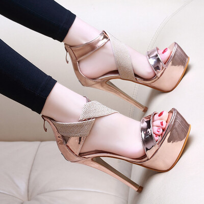 

Rose Women Slip Pointed Toe Super High Spike Heel Sexy Shoes Buckle Strap
