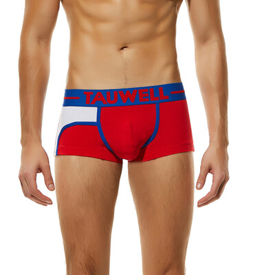 

Tailored Mens Fashion Brand Stripe Sexy Breathable Bulge Briefs Swimming Underwear