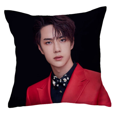 

1Pc Chen Qingling Wang Yibo Pillow Case Cover Cushion Sofa Car Winter Home Decor