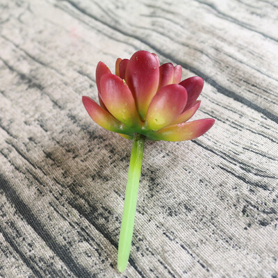 

Gobestart Simulation of Succulent Plants 5 Layer Diamond Lotus