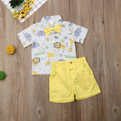 

Toddler Kid Baby Boy Summer Cartoon Tops T-shirt Pants Shorts Outfit Set Clothes