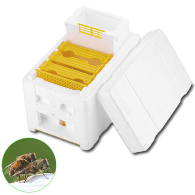 

Home Bee Hive Harvest Beekeeping Box Plastic Pollination Honeycomb Container