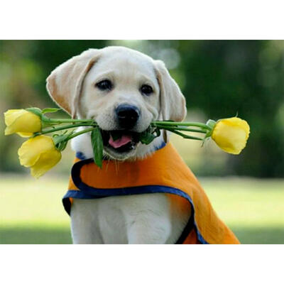 

5D DIY Full Drill Diamond Painting Dog Cross Stitch Embroidery Mosaic Kit
