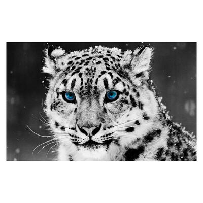 

5D DIY Full Drill Diamond Painting Snow Tiger Cross Stitch Embroidery Kits
