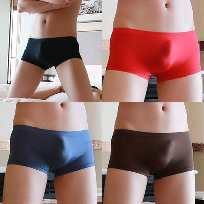 

Men&39s Sheer See Through Boxer Briefs Mesh Underwear Shorts Trunks Underpants