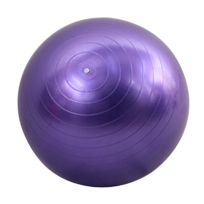 

85cm Fitness Exercise Gym Fit Yoga Core Ball Multi-use Indoor Fitness Training Yoga Ball