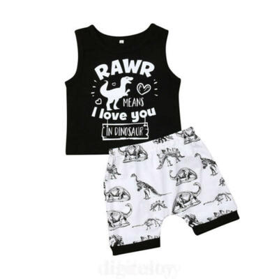 

US Newborn Toddler Baby Boy Dinosaur Top T-shirt Shorts Pants Outfit Clothes Set