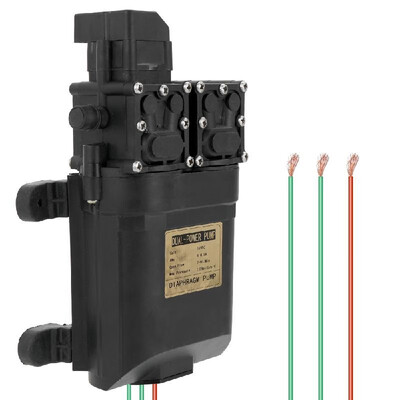 

12V DC High Pressure Intelligent Agricultural Electric Water Pump Water Sprayer Stainless Steel Dual Core Power Plants Watering To