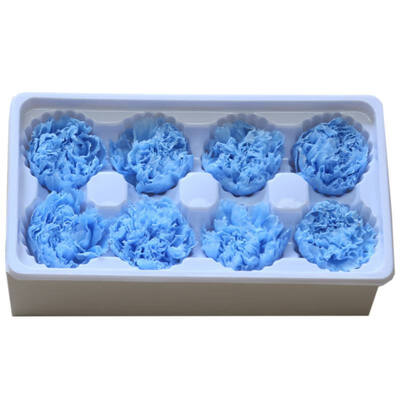 Handmade Preserved Fresh Flowers Gift Pack Immortal Flower Eternal Carnation Heads for Gift