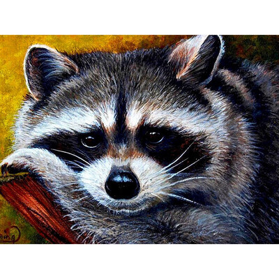 

Diamond Painting New Square Stones Animals Picture Beading New Diamond Embroidery Home Decoration Raccoon Diamond Mosaic
