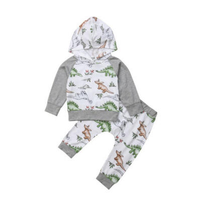 

US Baby Boy Girl Cotton Clothes Dinosaur Hooded Long Sleeve Tops Pants Outfits
