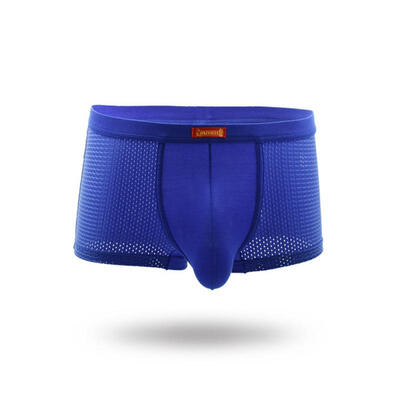 

SummeryTiny Meshes Solid Color Manly NylonModal Boxers For Gentlemen