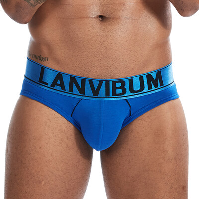 

Men Low Rise Breathable Underwear Bulge Pouch Briefs Elastic Knickers Underpants