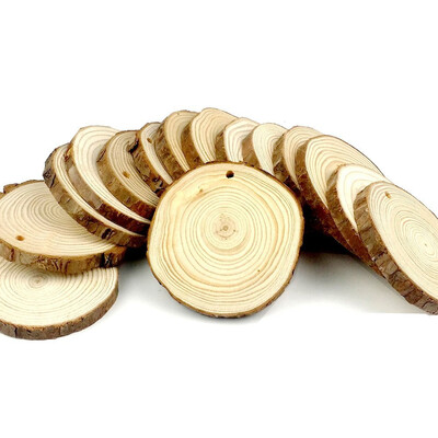 

Gobestart 10 Pieces 6-9cm Unfinished Predrilled Wood Slices Round Log Discs With