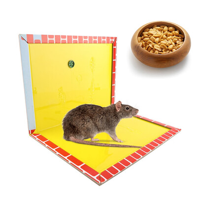 

Greensen Large Tasty Peanut Strong Sticky Adhesive Mouse Glue Trap Inset Pests Catcher