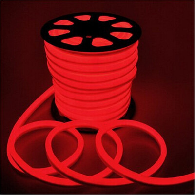 

YWXLight 5M LED Strip Flexible Neon Lights Waterproof LED Light Lamp AC 220 - 240V