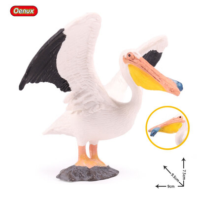 

Oenux Original Paradise Birds Flamingos Ara Seagull Pelican Snowy Owl Figurines High Quality PVC Animal Action Figure Child Toy