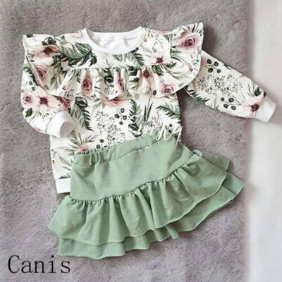 

Cute Floral Kids Baby Girls Outfits Winter Clothes T-shirt Tops Tutu Dress Sets