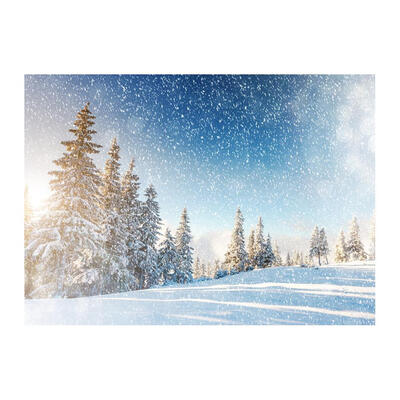 

Christmas Theme Thin Vinyl Waterproof Wall Background Cloth Photo Backdrop