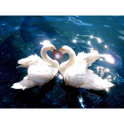 

5D DIY Full Drill Diamond Painting Love Swan Cross Stitch Embroidery Kits