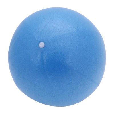 

25cm984in Yoga Fitness Pilates Balance Exercise Ball Child Adult