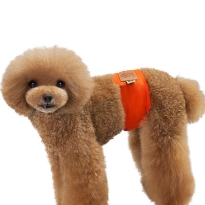 

Pet Dog Cat Cotton Pants Diapers Specify Different Types Of Pets