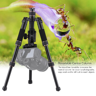 

Andoer TP166C Portable Lightweight Carbon Fiber Table Mini Tripod with Ball Head Kit 3-Section Adjustable Height Fold Only 21cm fo
