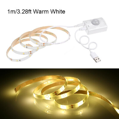 

1M 30LEDs Cabinet Strips Lights USB Rechargeable PIR Motion Sensor & Light Sensor Underbed String Light Night Lighting for Wardrob