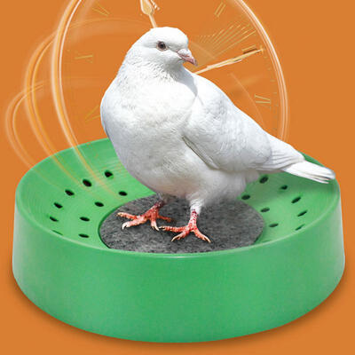 

Greensen 5Pcs Plastic Bird Nesting Bowl Bird Egg Breeding Bowl with Mat Cage Accessory