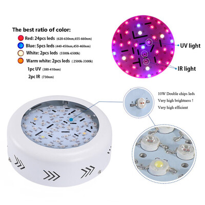 

Double Chips AC85265V 360W RedBluewarm whitewhiteIRUV LED Grow Lights
