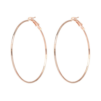 

AOTEMAN 2019 New Fashion Statement Hoop Earrings Metal Geometric Earrings For Women Jewelry Accessories