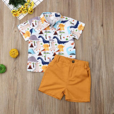 

Toddler Kids Baby Boys Summer Tops T-shirt Dinosaur Pants Shorts Outfits Clothes