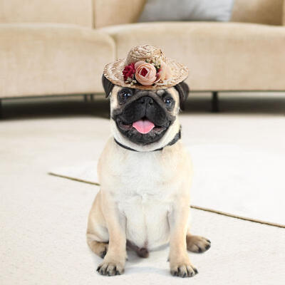 

Greensen Cute Summer Pet Dog Cat Mini Straw Sombrero Sun Hat with Colored Flower Collar Decor