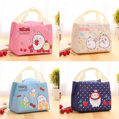 

Childrens Kids Lunch Bags Insulated Cool Bag Picnic Bag School Lunchbox 30cm20cm