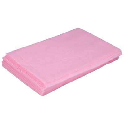 

10 Pcs 18080cm Disposable Sheets10Pcs Non-Woven Waterproof Bed Sheet for Beauty Salon